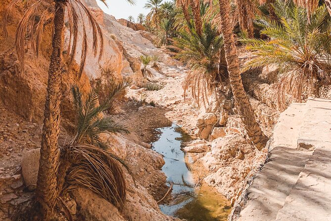Tamerza, Chebika, Mides Canyons and Star Wars Full-Day Tour - Why this private Tozeur outing works well