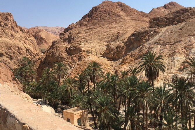 Tamerza, Chebika, Mides Canyons and Star Wars Full-Day Tour - Chebika and the value of an oasis stop