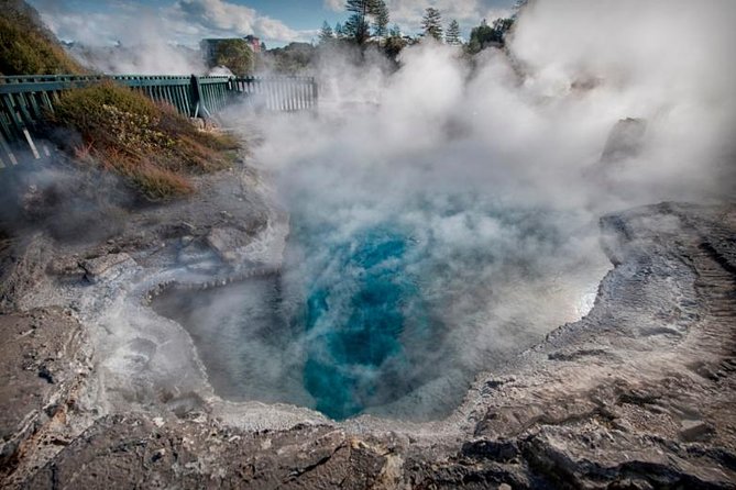 Tauranga-Hobbiton-Rotorua : Movie Set & Geysers: Private Tour - The guide can make or break the day