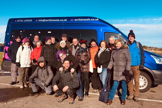 The Outlander Tour Clava, Culloden, Urquhart, Loch Ness & Beauly - Highland cows at Robertson’s in Beauly