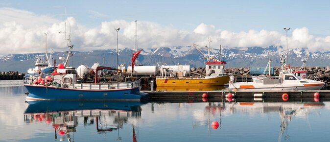 The Story of Fire Saga Eurovision: Netflix Húsavík Walking Tour - Why Húsavík Works So Well for Fire Saga