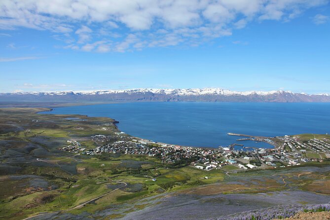 The Story of Fire Saga Eurovision: Netflix Húsavík Walking Tour - Starting at Garðarsbraut 5 in Húsavík
