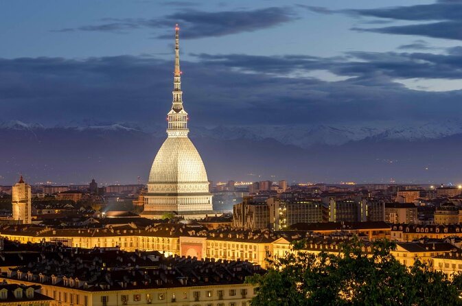 Turin, National Cinema museum and Mole with elevator Guided tour - Key points to know before booking