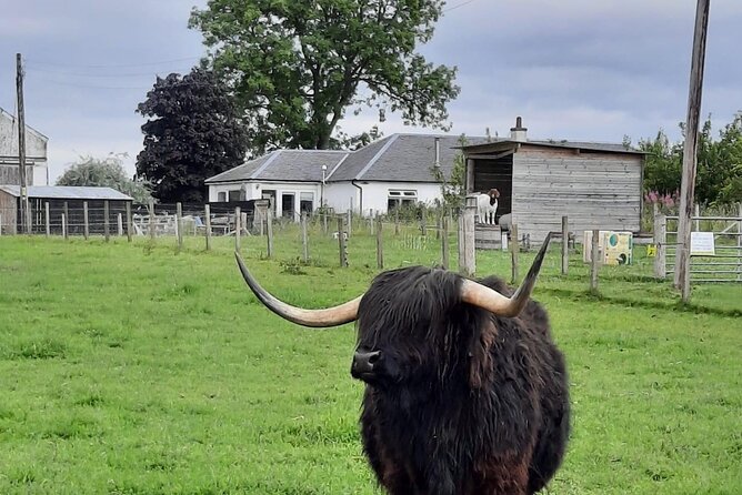 Urquhart Castle, Culloden, Clava Cairns, Loch Ness - Culloden Battlefield puts the past first