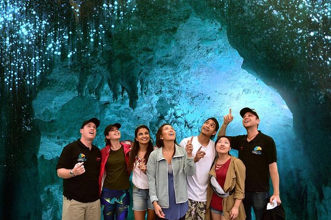 Waitomo Caves & Hobbiton Small Group Tour inc Lunch from Auckland - Hobbiton Movie Set: the afternoon highlight for Tolkien fans