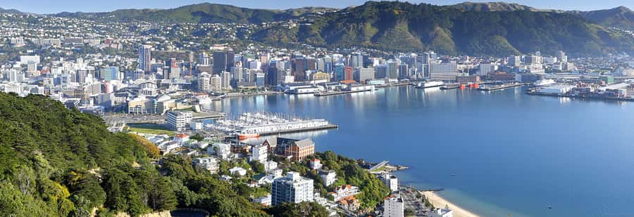 Wellington: Lord of the Rings Half-Day Guided Tour inc Weta - Weta Cave: the main indoor attraction