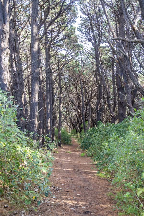 Wellington: Lord of the Rings Half-Day Guided Tour inc Weta - Should you book Ka Rawe’s Lord of the Rings tour?