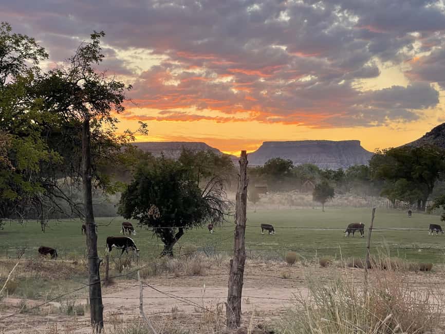 Zion: Harry Potter-Inspired Zion Ghost Tour with Sunset View - Exploring Grafton’s pioneer past